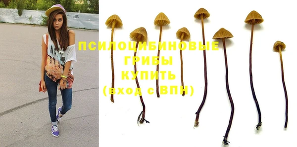 гашик Алексин