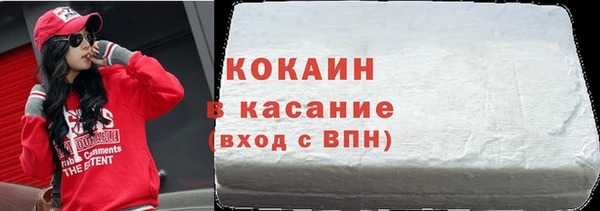 гашик Алексин