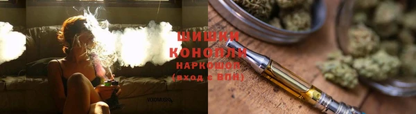 гашик Алексин