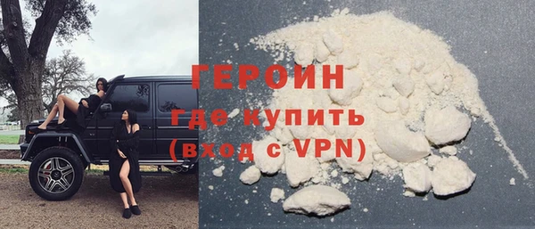 гашик Алексин