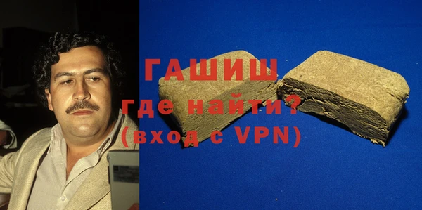 гашик Алексин