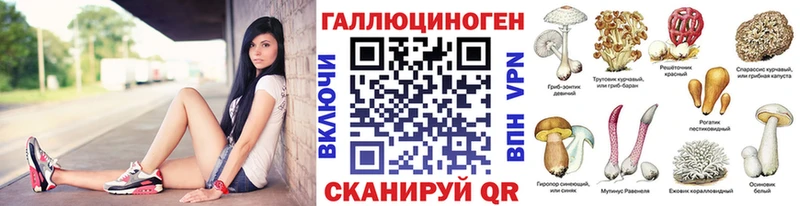 купить наркотики сайты  mega ТОР  Псилоцибиновые грибы GOLDEN TEACHER  Колпашево 